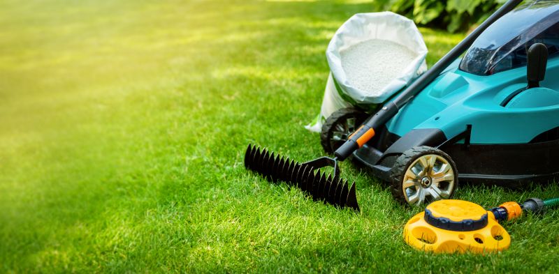 Lawn Clean Up Service