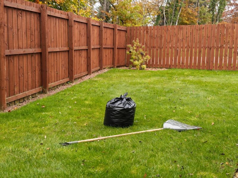 Spring Lawn Cleanup