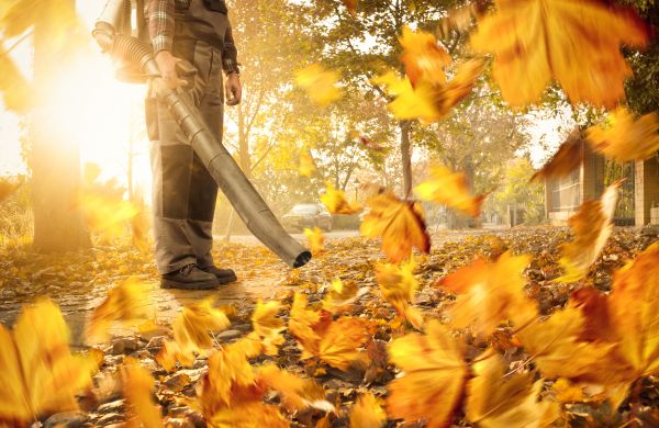 Cost of Leaf Blowing Service in Chesterfield
