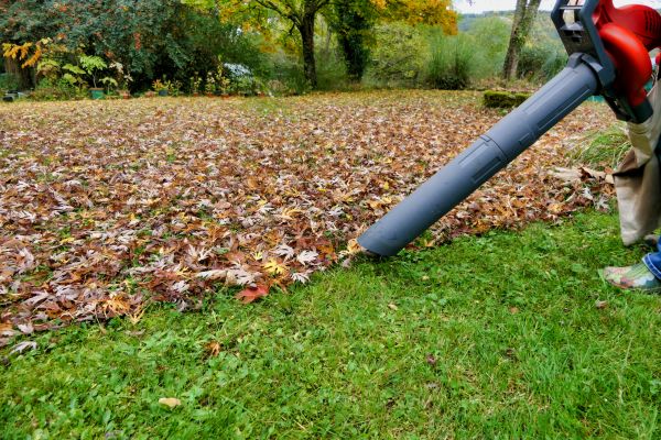 Cost of Leaf Vacuuming Service in Chesterfield