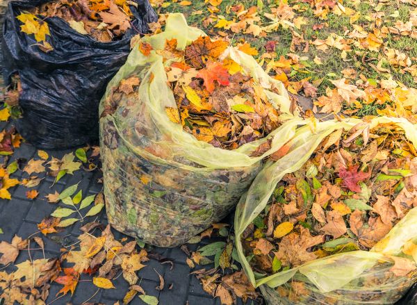 Cost of Yard Cleanup Service in Chesterfield