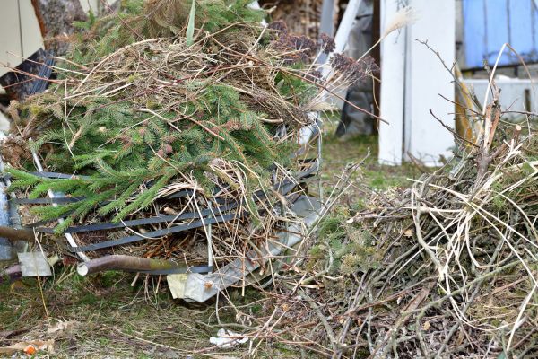 Cost of Yard Debris Removal in Chesterfield
