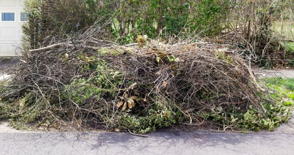 Cost of Tree Limb Cleanup in Chesterfield