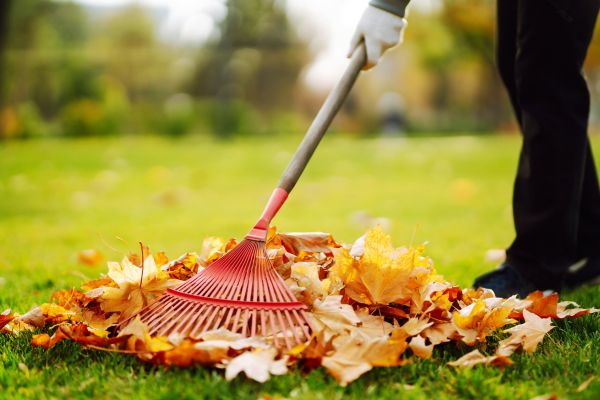 Cost of Ditch Leaf Removal in Chesterfield