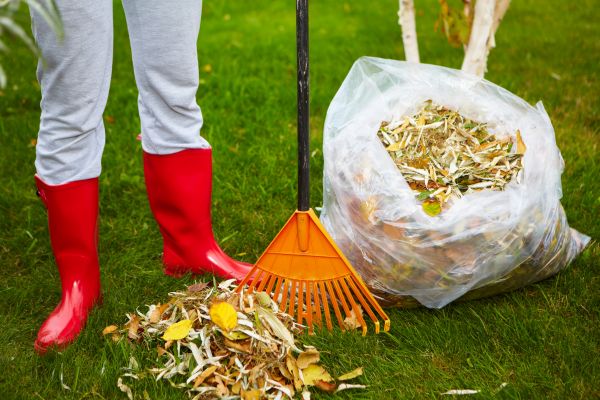 Cost of Leaf Disposal Service in Chesterfield
