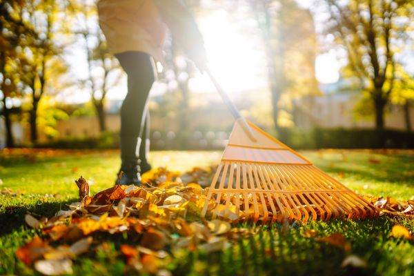 Cost of Leaves Raking in Chesterfield
