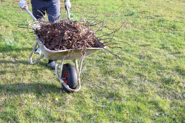 Cost of Yard Brush Removal in Chesterfield
