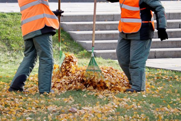 Cost of Leaf Hauling Service in Chesterfield