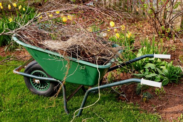 Cost of Lawn Waste Removal in Chesterfield