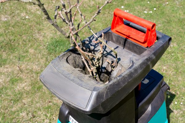 Cost of Brush Cleanup Service in Chesterfield