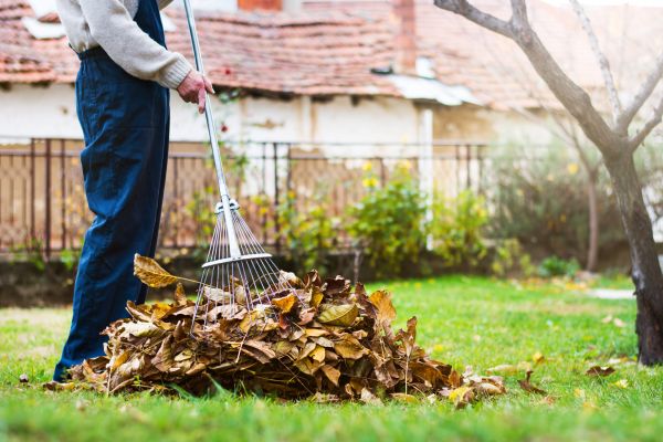 Cost of Fall Yard Cleanup Service in Chesterfield