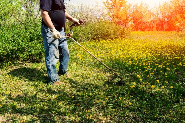Cost of Yard Clearing Service in Chesterfield