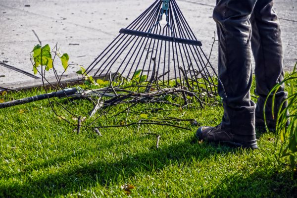 Cost of Yard Debris Cleanup in Chesterfield